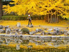 -香山公园