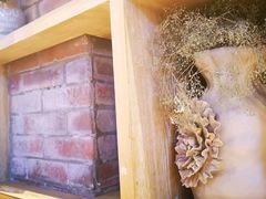 -鱼库·不仅是一家烤鱼店(车公庙店)