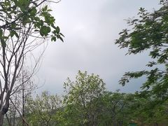 -盈香心动乐园