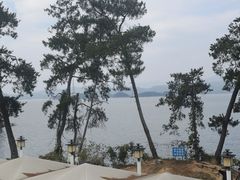 -宝荣鱼馆·临湖之宴(千岛湖店)