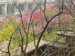 -秀丽东方