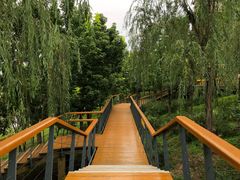 -东郊湿地公园