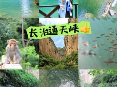 -山西通天峡景区