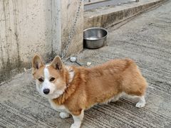 -红灯笼姥姥饭店·江景餐厅