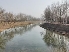 -东郊湿地公园
