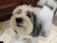 -Legno.ita Coffee by Wood(襄阳南路店)