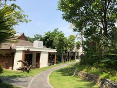 -西双版纳洲际度假酒店-海鲜傣味烧烤·侬香全日制餐厅