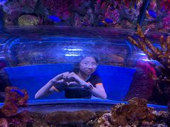 -暹罗海洋世界