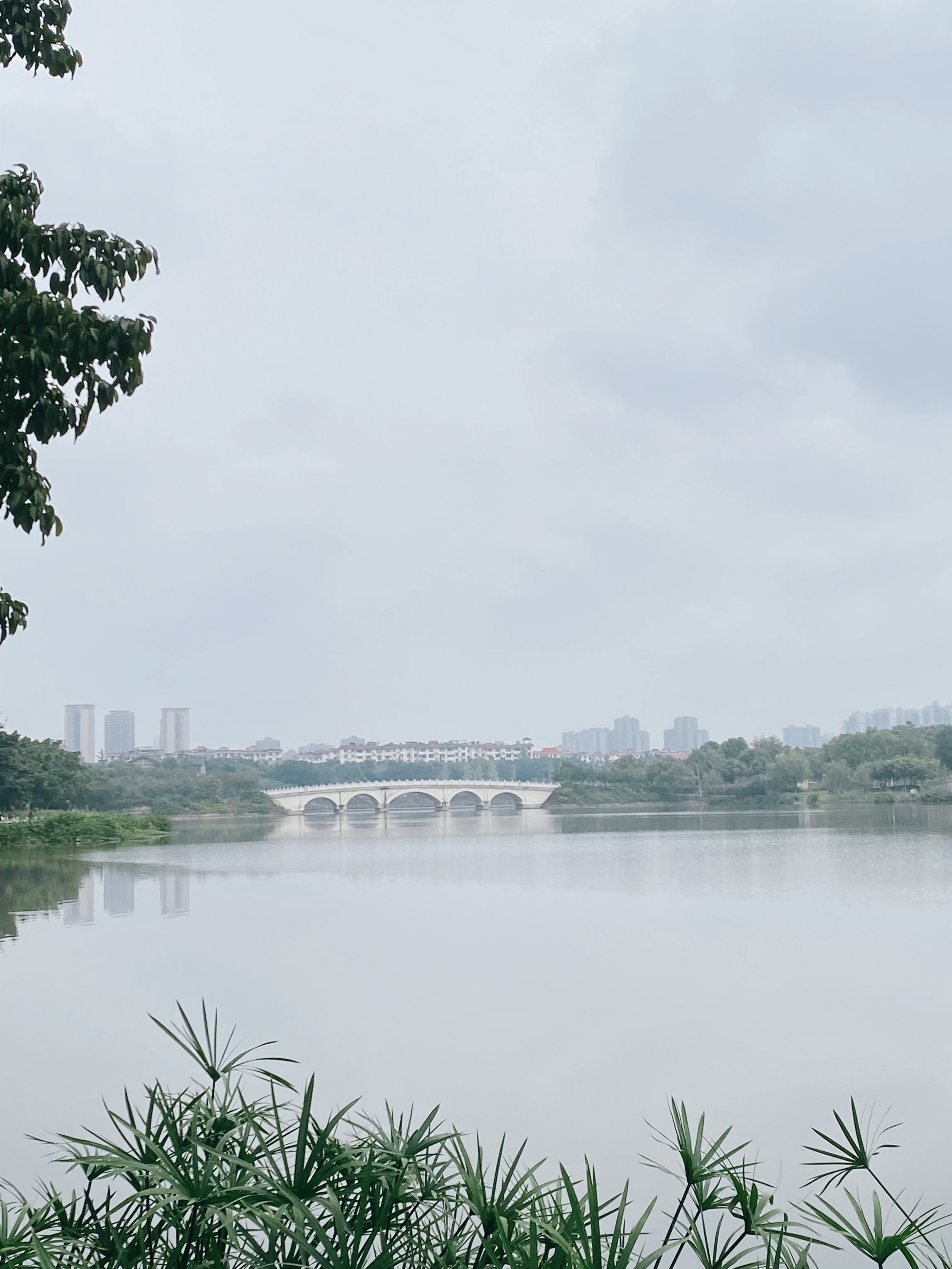 眉山太和北湖湿地公园图片