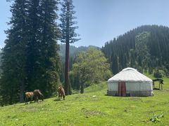 -新疆那拉提国家旅游度假区