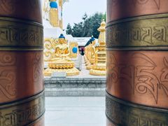 -护国法轮寺