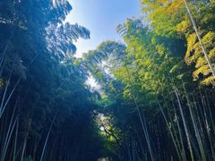 -同里国家湿地公园
