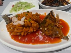 松鼠桂鱼-沈大成(南京东路店)