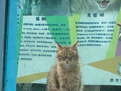 -青藏高原野生动物园