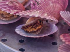 清蒸扇贝-日照大牌檔•小船海鲜(万平口店)