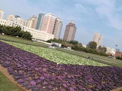 -大连人民广场