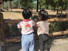 -石家庄市动物园