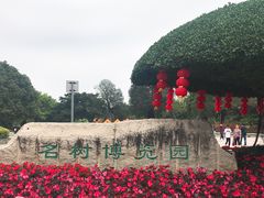 -南宁南湖公园