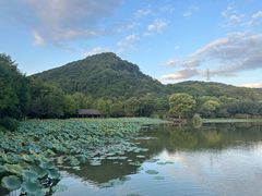 -八卦田遗址公园