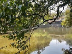 -云南屏边大围山国家公园