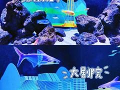 -重庆欢乐海底世界