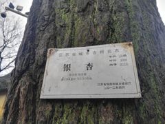 -狼山风景名胜区