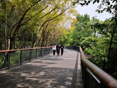 -金鸡山公园