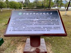 -江西龙虎山景区