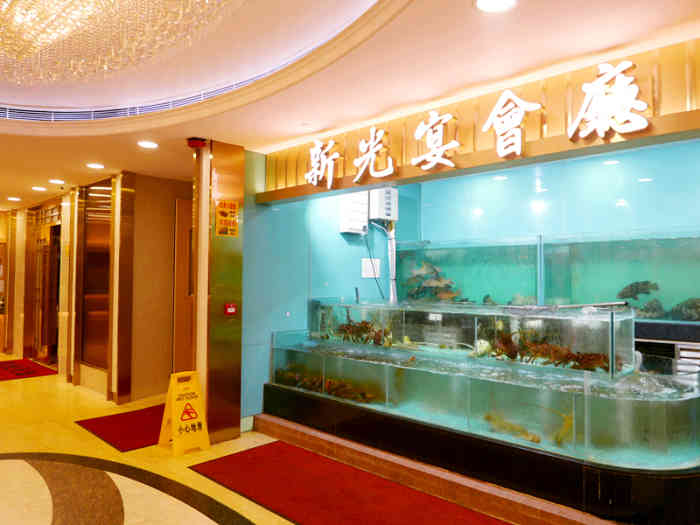 新光宴会厅-"来这喝早茶有好几次了,还是可以的,价格也.