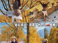 -田野绿世界