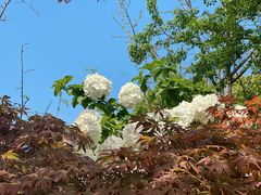 -杭州城北体育公园