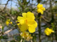 -西湖风景区-江洋畈生态公园