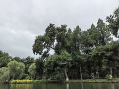 -西湖游船
