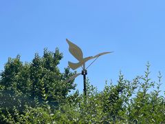 -野鸭湖国家湿地公园