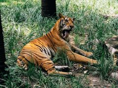 -北京野生动物园