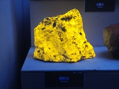 -湖南省地质博物馆