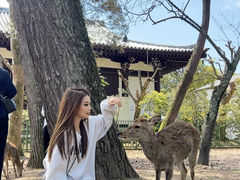-奈良公园