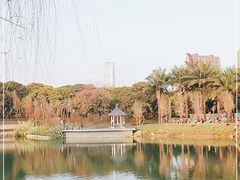 -四海公园(南山区)