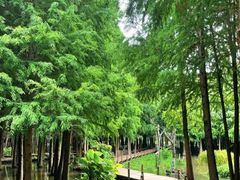 -捞渔河湿地公园