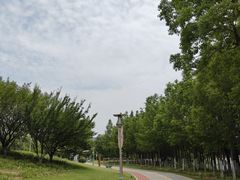 -桃花岛公园