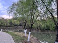 -大蜀山国家森林公园