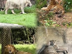 -杭州野生动物世界