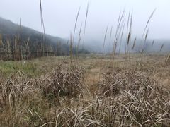 -大围山国家森林公园