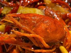 -东厨虾煌(电子街店)