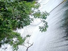 -宁海森林温泉