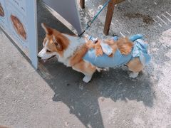 -肥朵食堂(带梦胡同店)