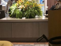 -枕水江南(铁西万象汇店)