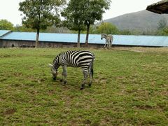 -石家庄市动物园