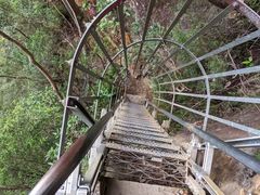 -墨尔本皇家植物园