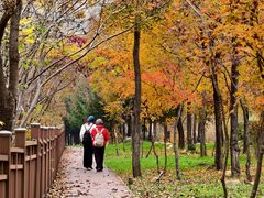 -三块石国家森林公园